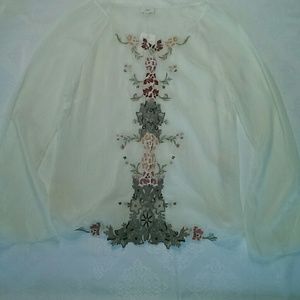 Beautiful appliqued blouse.